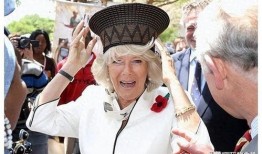 安妮公主最新爆料图片大全,揭秘王室生活点滴