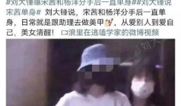 刘大锤恋情爆料最新消息,新恋情曝光，细节惊人！